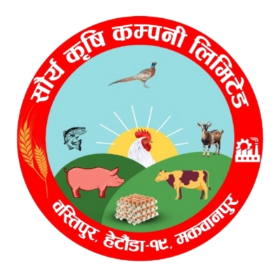 Saurya Krishni